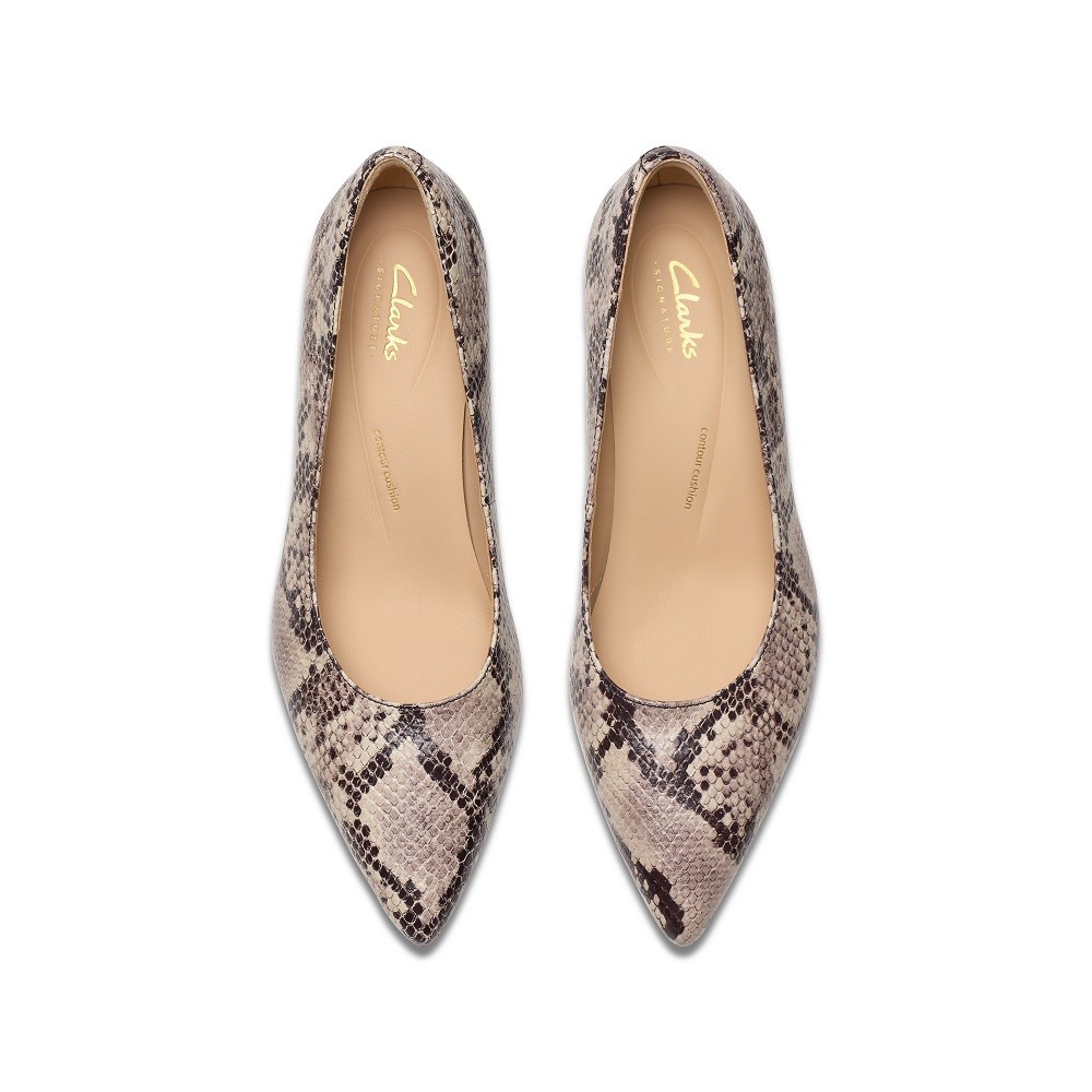 CLARKS</br>Γυναικείες Γόβες Γκρι Snake Δέρμα ADELA COURT Clarks CLARKS</br>Γυναικείες Γόβες Γκρι Snake Δέρμα ADELA COURT Clarks