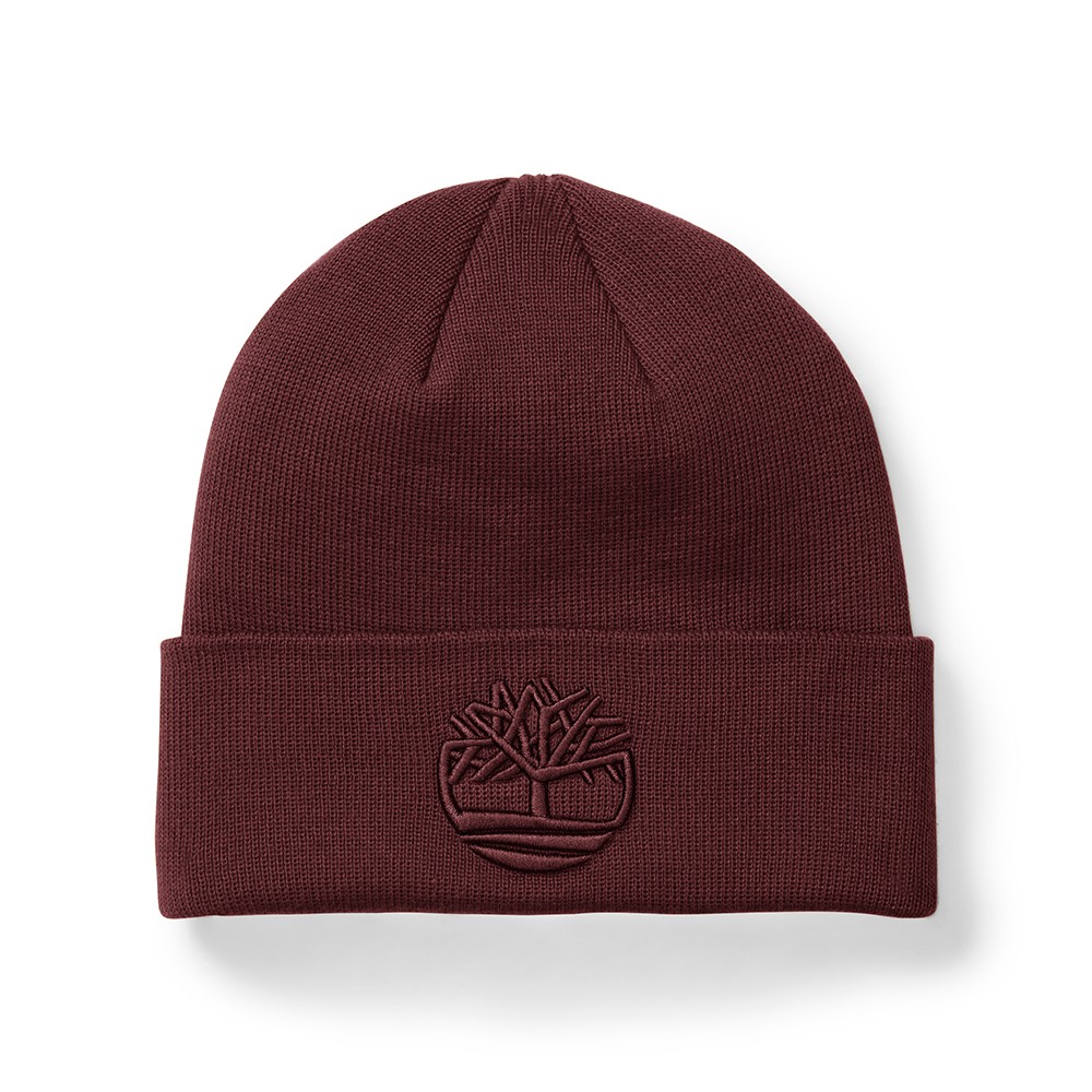 TIMBERLAND</br>Ανδρικός Σκούφος Μπορντώ Tonal 3D Embroidery Beanie A2PJR-I30 Timberland