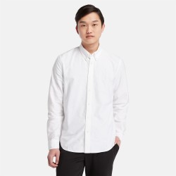 Ανδρικό Πουκάμισο Λευκό LS Oxford Shirt Regular A6GPN-A94 Timberland
