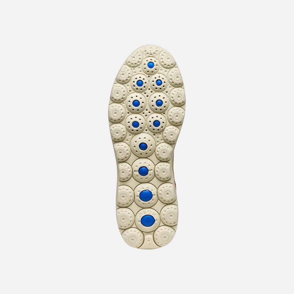 GEOX</br>Geox SPHERICA PLUS D567MB 08522 C1SL6 Γυναικεία Sneakers Μπεζ Δέρμα GEOX</br>Geox SPHERICA PLUS D567MB 08522 C1SL6 Γυναικεία Sneakers Μπεζ Δέρμα