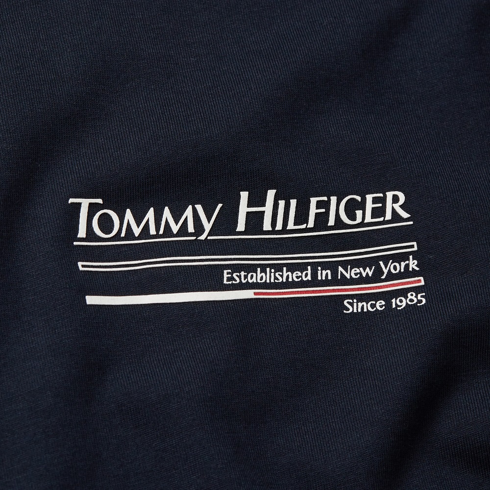 TOMMY HILFIGER</br>Ανδρικό T-shirt Μπλε Regular MW0MW38614-DW5 Tommy Hilfiger TOMMY HILFIGER</br>Ανδρικό T-shirt Μπλε Regular MW0MW38614-DW5 Tommy Hilfiger