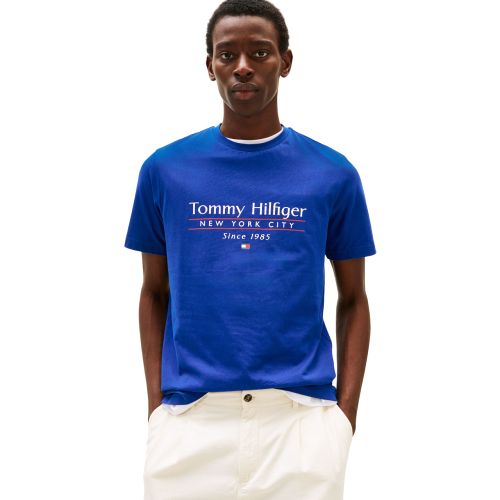 Ανδρικό T-shirt Μπλε Ηλεκτρίκ Regular MW0MW38621-D03 Tommy Hilfiger