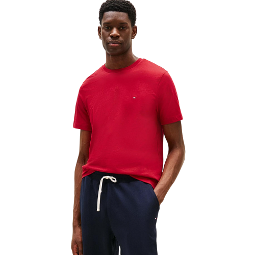 Ανδρικό T-shirt Κόκκινο Essential Regular Fit MW0MW39995-XLD Tommy Hilfiger