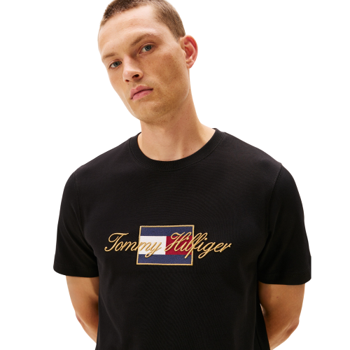 Tommy Hilfiger Icon Gold Tee MW0MW41500-BDS Ανδρικό T-shirt Μαύρο Regular Tommy Hilfiger Icon Gold Tee MW0MW41500-BDS Ανδρικό T-shirt Μαύρο Regular