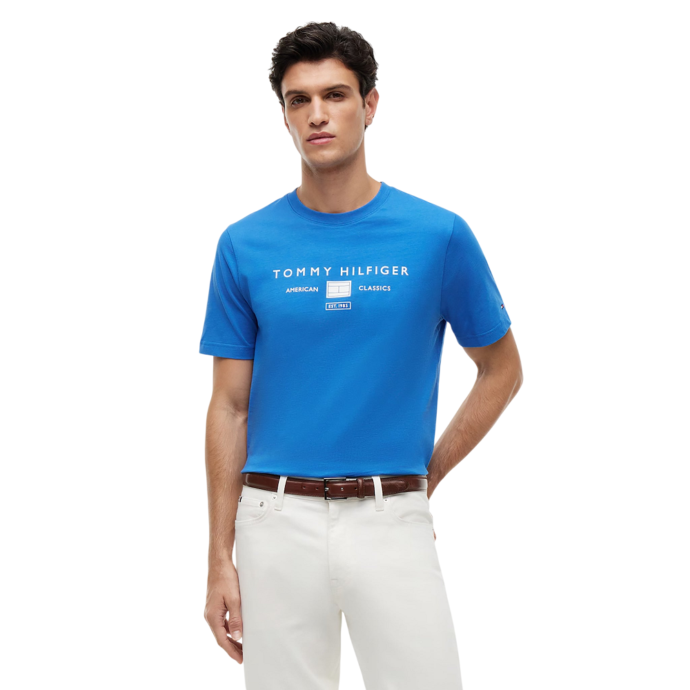 TOMMY HILFIGER</br>Tommy Hilfiger Brand Love Mono Stack Tee MW0MW42365-C4U Ανδρικό T-shirt Γαλάζιο Regular