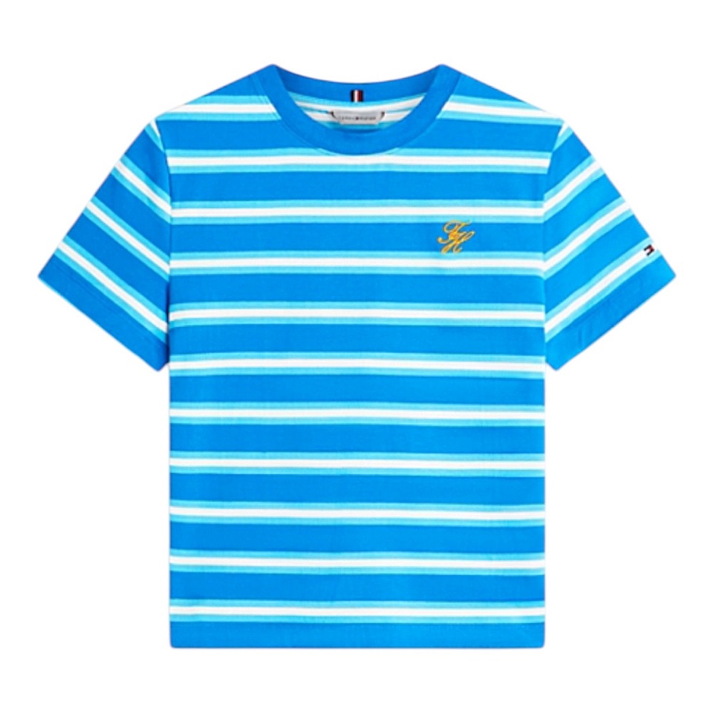 TOMMY HILFIGER</br>Tommy Hilfiger WW0WW48699-0BH Γυναικείο T-shirt Γαλάζιο Th Script Reg C-nk Ss Tee TOMMY HILFIGER</br>Tommy Hilfiger WW0WW48699-0BH Γυναικείο T-shirt Γαλάζιο Th Script Reg C-nk Ss Tee